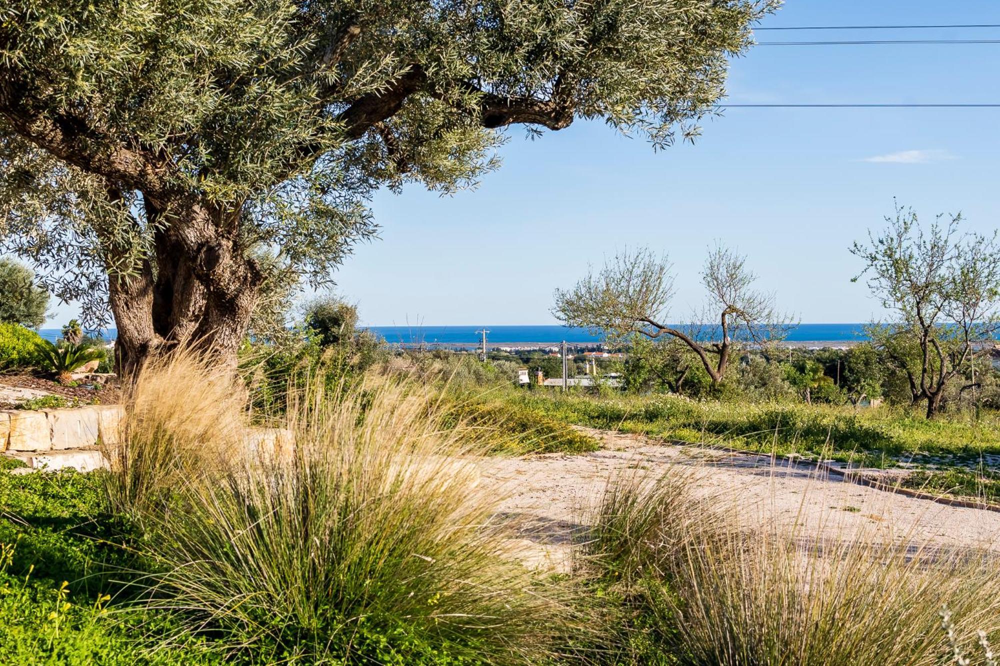 Villa Quinta Da Baleeira Tavira Exterior foto